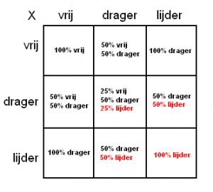 dmschema